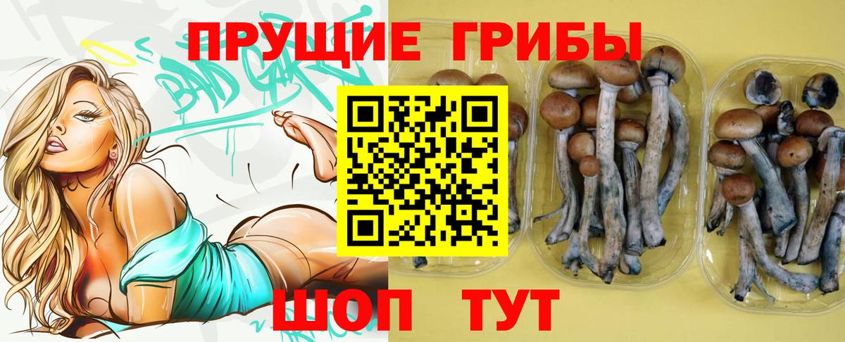 Псилоцибиновые грибы мицелий  Галлюциногенные грибы мицелий  Мегион  Вход с VPN 