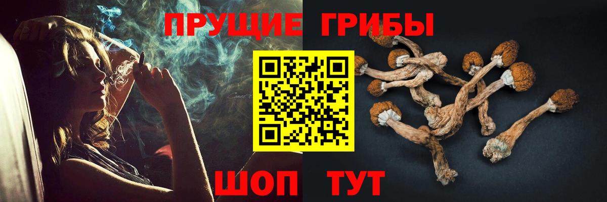 Галлюциногенные грибы Psilocybe Мегион